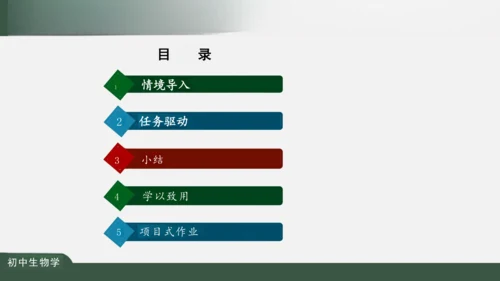 2.2.2 动物体的结构层次 课件（共24张PPT）