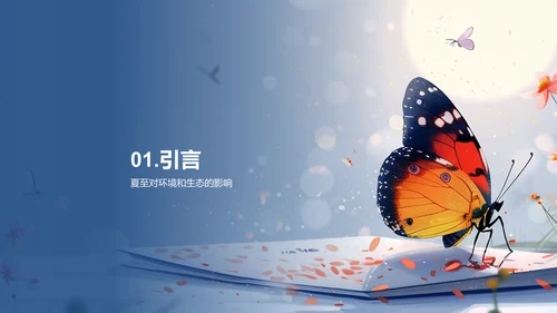 夏至影响生态PPT模板