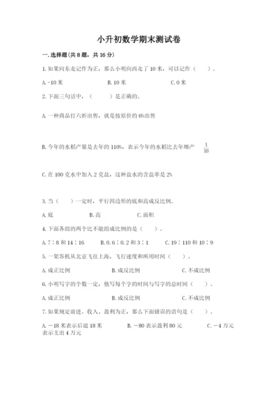 小升初数学期末测试卷及完整答案（有一套）.docx