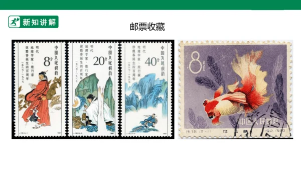第十四课《我的收藏卡》课件