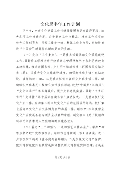 文化局半年工作计划.docx