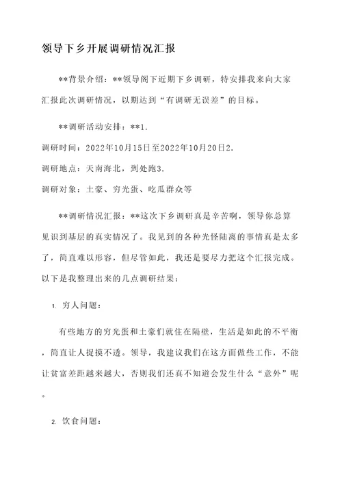 领导下乡开展调研情况汇报