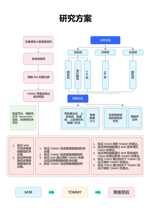 彩色清新通用研究方案论文流程图