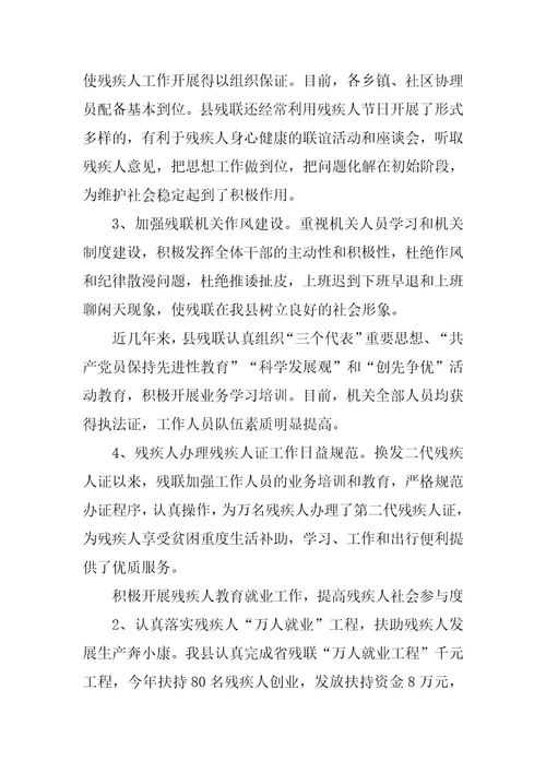 残疾人事业十一五规划执行情况总结