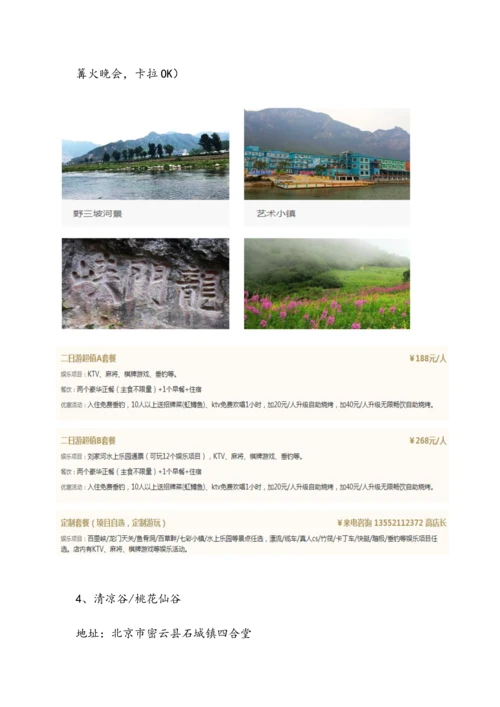 团建活动专业方案.docx