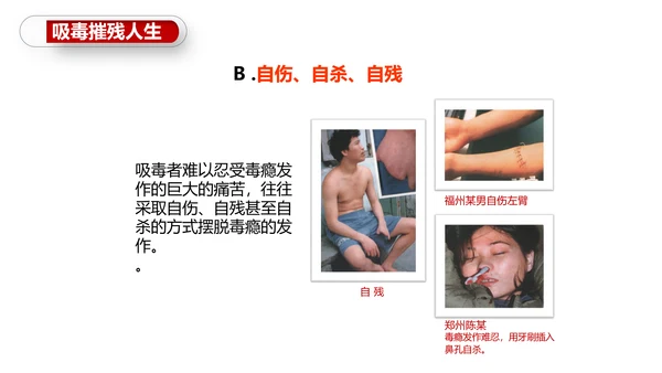 珍爱生命世界禁毒日PPT