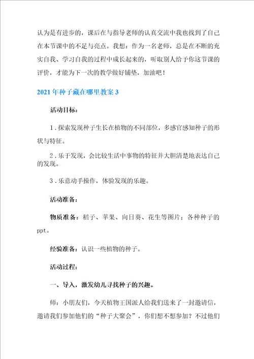 2021年种子藏在哪里教案