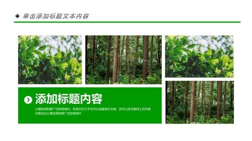 绿色环保森林生态文明建设森林日环保PPT模板