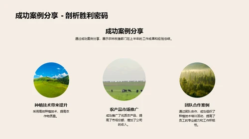 农林部门半年成果回顾