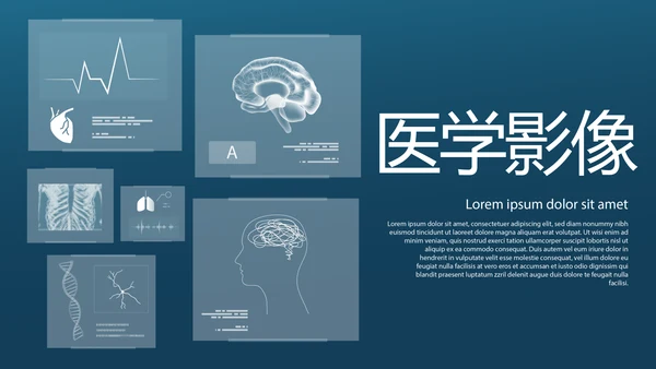 医学影像数字化医疗技术工作总结PPT