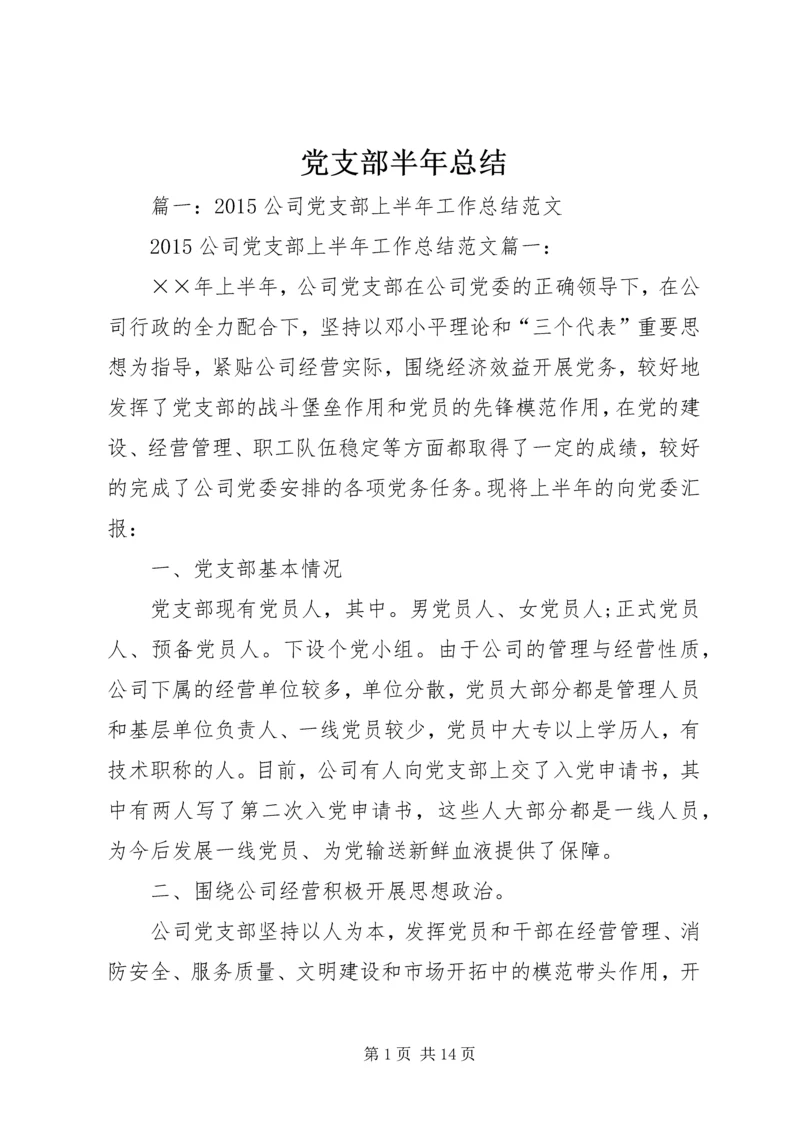 党支部半年总结.docx