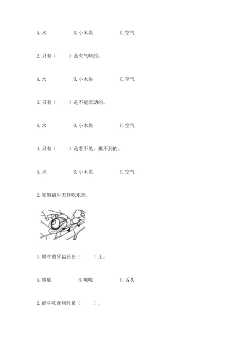 教科版一年级下册科学期末测试卷含答案【精练】.docx