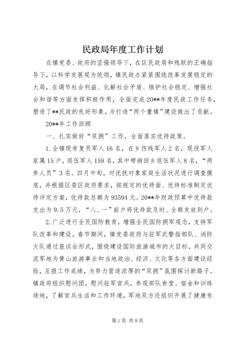 民政局年度工作计划 (2).docx