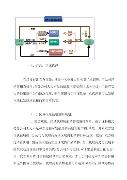 某某分公司营销渠道运营模式案例.docx