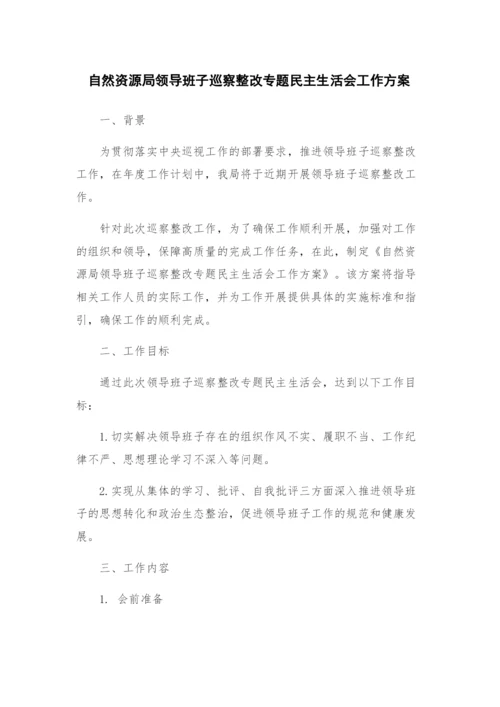 自然资源局领导班子巡察整改专题民主生活会工作方案.docx
