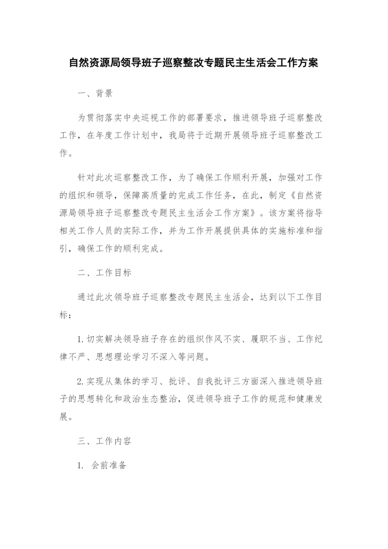自然资源局领导班子巡察整改专题民主生活会工作方案.docx