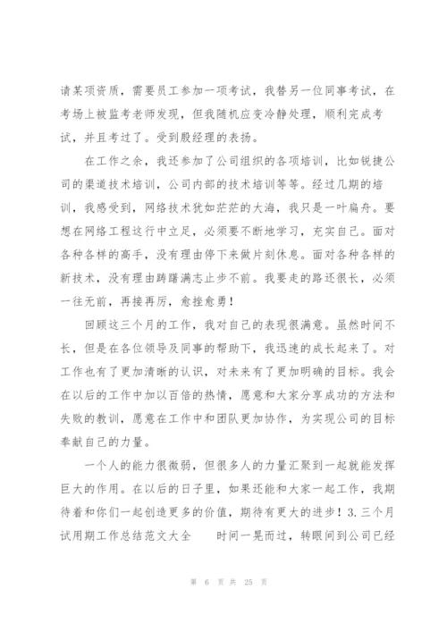 三个月试用期工作总结范文大全（10篇）.docx