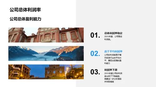 20XX旅游业绩洞察