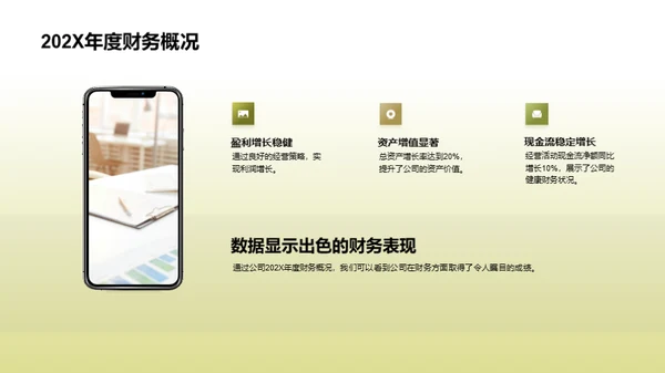 财务解析：20XX年度总结