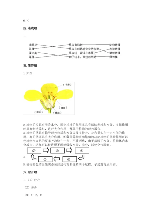 教科版四年级下册科学第一单元《植物的生长变化》测试卷（考试直接用）.docx