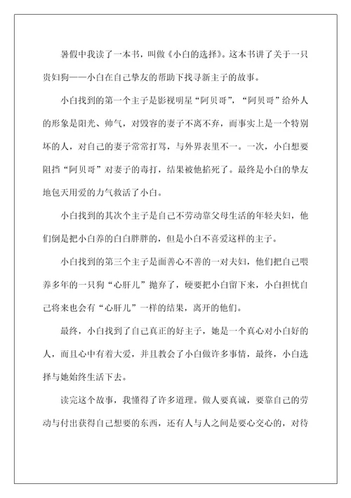 2022《选择》观后感1