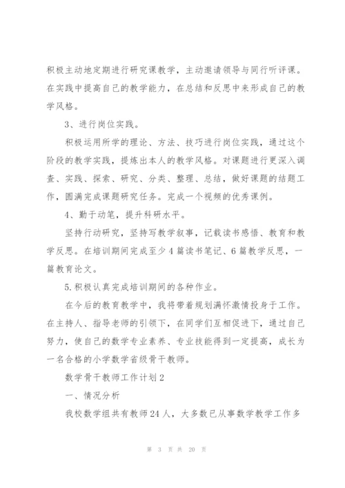 数学骨干教师工作计划范文5篇.docx