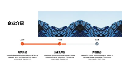 单色扁平3项企业介绍