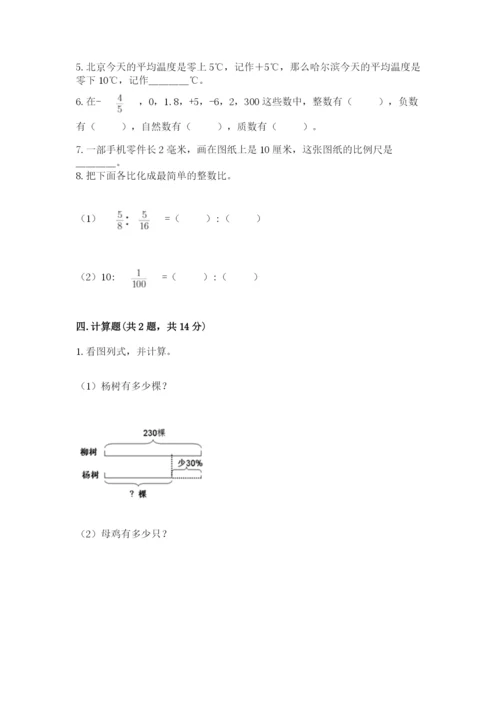 北京版六年级下册数学期末测试卷带答案（预热题）.docx