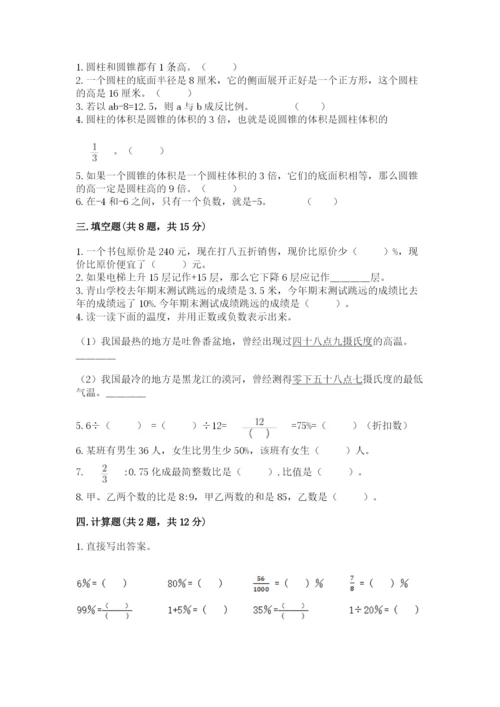 人教版六年级下册数学期末测试卷含答案【预热题】.docx