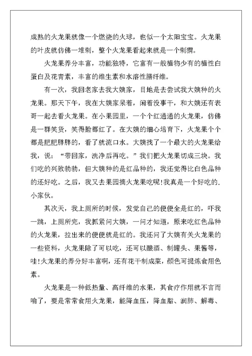 2022年五年级火龙果说明文600字