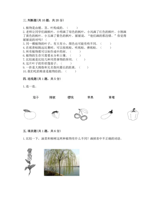 教科版一年级上册科学期末测试卷精品【含答案】.docx