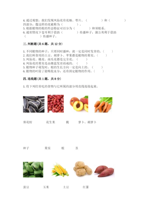 教科版四年级下册科学第一单元《植物的生长变化》测试卷（必刷）.docx