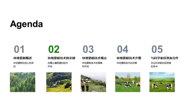 林地更新技术探索