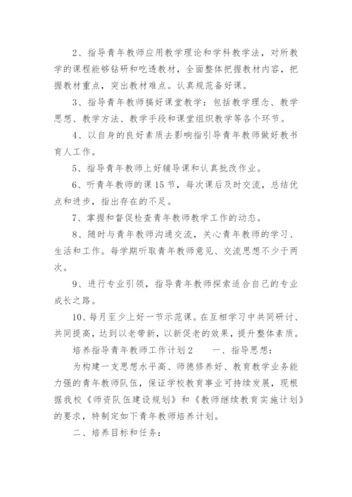 培养、指导青年教师工作计划.docx