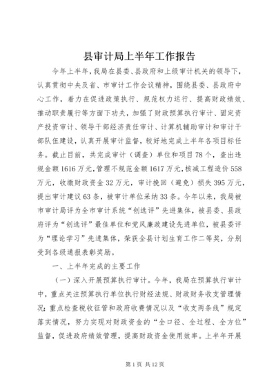 县审计局上半年工作报告 (3).docx