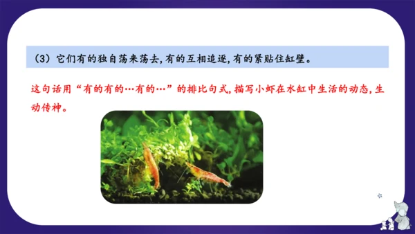 统编版三年级语文下学期期中核心考点集训第四单元（复习课件）