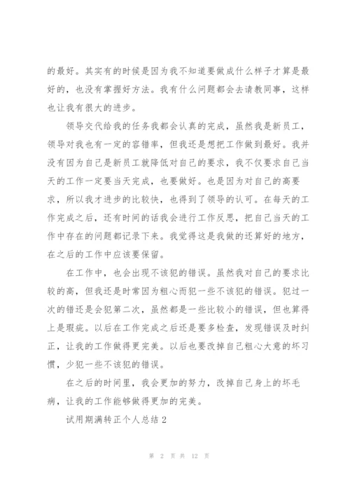 试用期满转正个人总结5篇.docx