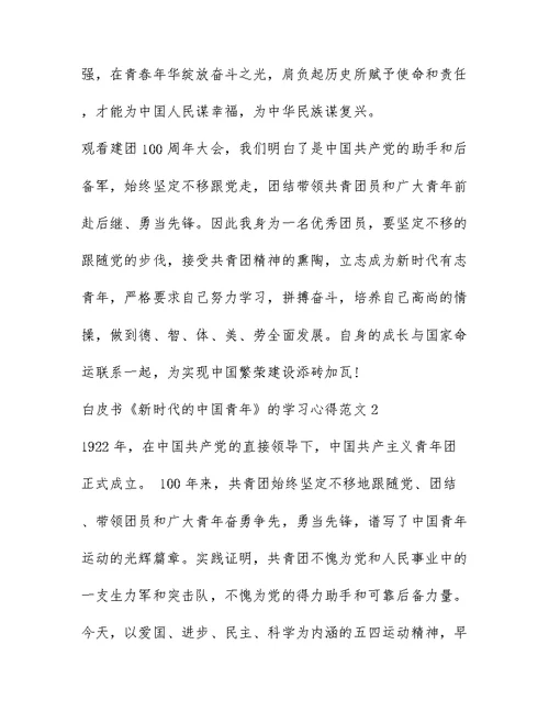 白皮书新时代的中国青年的学习心得范文（精选五篇）