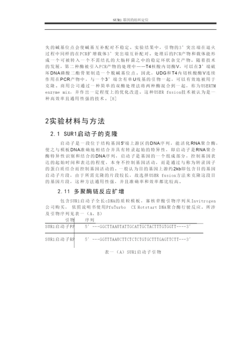 毕业论文—SUR1基因的组织定位.docx