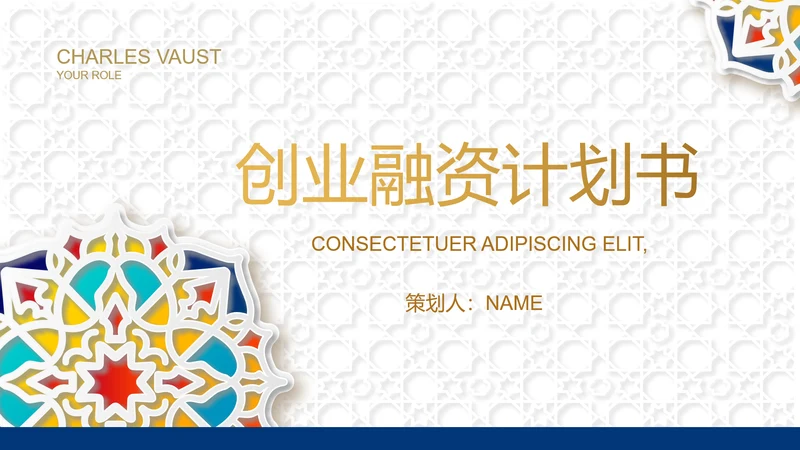 炫彩高端霸气创业融资计划书商业计划书PPT