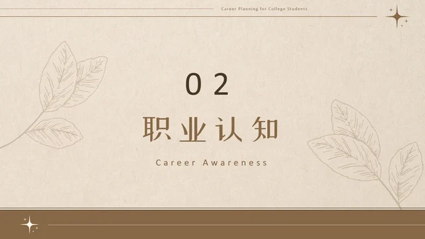 美拉德色大学生职业生涯规划PPT模板