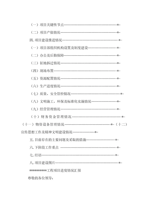 项目落地情况汇报共17页