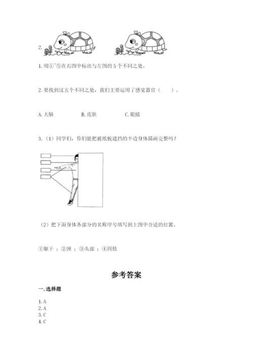 教科版小学科学二年级下册 期末测试卷带答案（模拟题）.docx