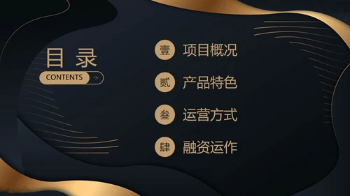 高端融资产品PPT计划书