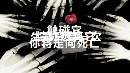 青少年预防不良行为禁毒教育PPT课件