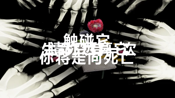 青少年预防不良行为禁毒教育PPT课件