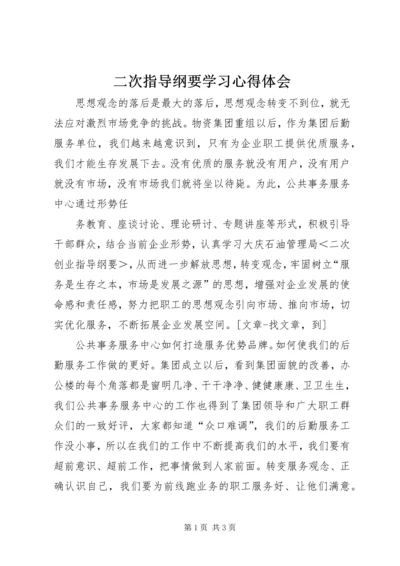 二次指导纲要学习心得体会.docx