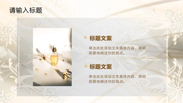白金奢华欧式主题PPT模板
