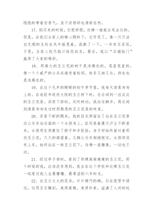 描写玉兰花的优美句子.docx