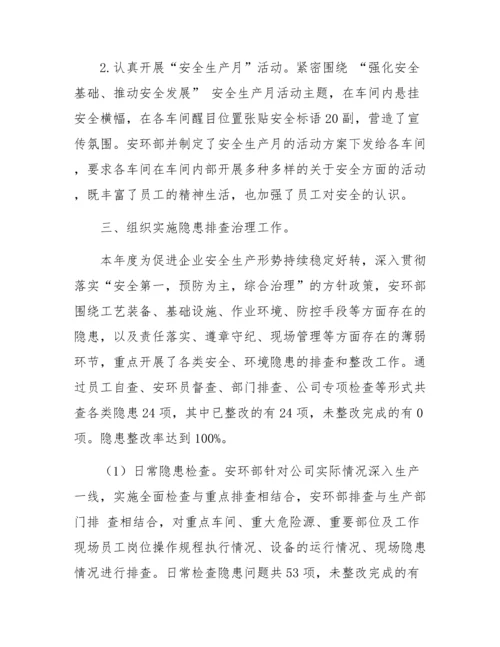 安环部经理述职报告两篇.docx